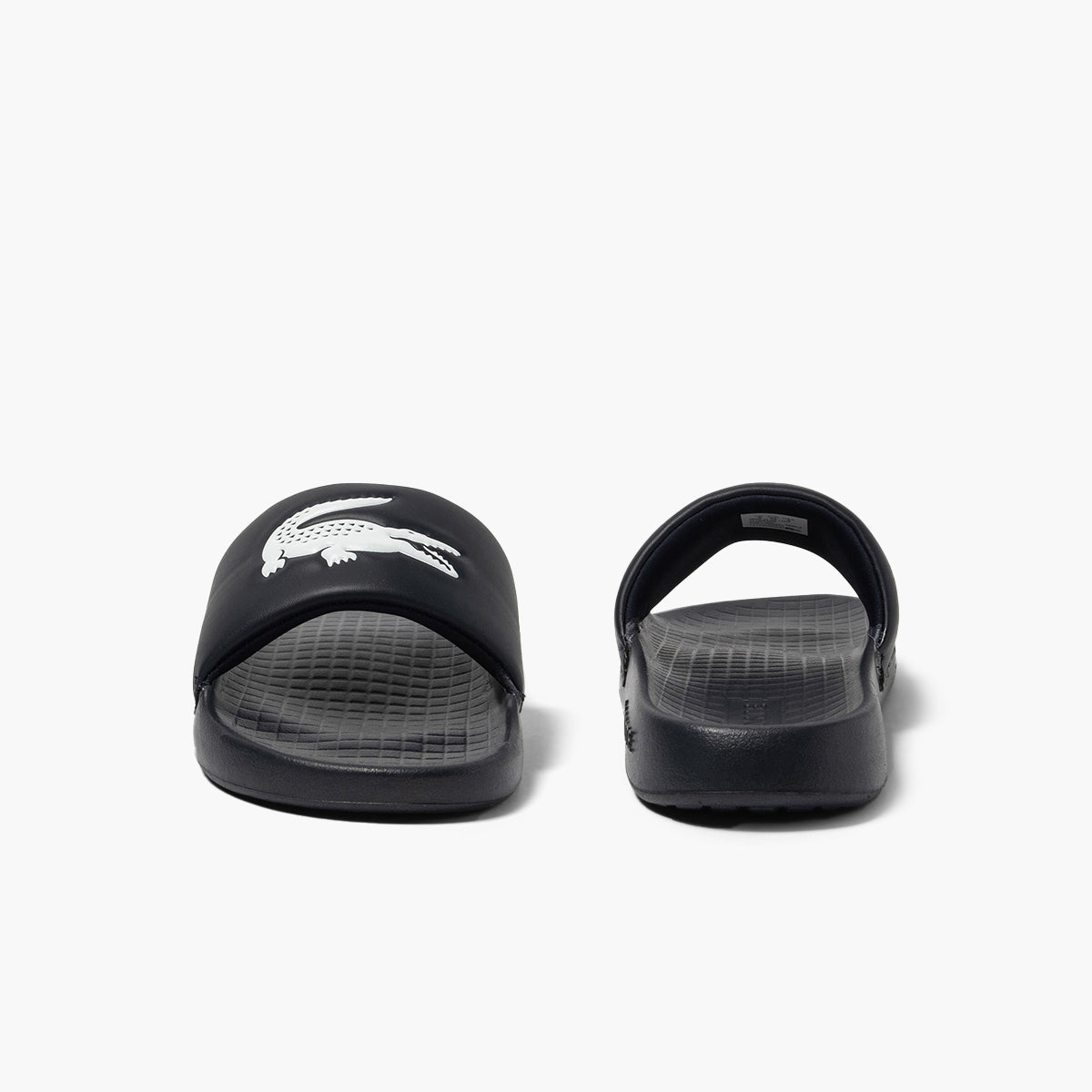 Croco 1.0 Synthetic Slides